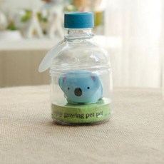 아리코 애완, 코알라