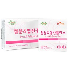 SK케미칼 SK 철분앤엽산 플러스 4개월분, 120캡슐, 1박스