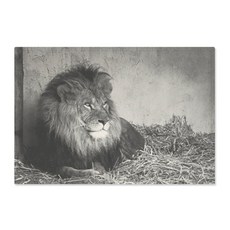 The Parsley 居家裝飾照片海報, 通用汽車 54595