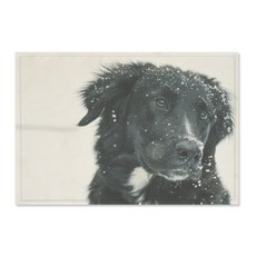 The Parsley 居家裝飾照片海報, 通用汽車 54522