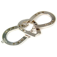 재미니아 호스 레벨2 캐스트퍼즐, 1개