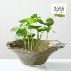 안개꽃 수반, 올리브