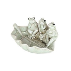 나뭇잎개구리수반, 그린