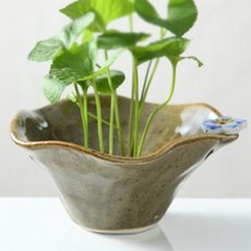 올리브 안개꽃 수반, 2호