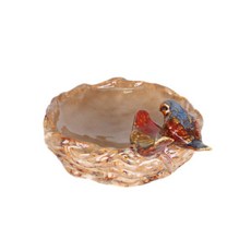 새둥지수반, 브라운