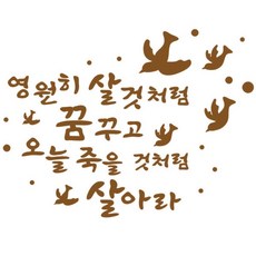 페이퍼스토리 영원히살것처럼, 브라운