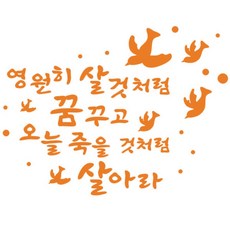 페이퍼스토리 영원히살것처럼, 오렌지