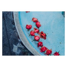 북유럽 스타일 인테리어액자 (A1), art no. 0217