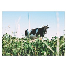 북유럽 스타일 인테리어액자 (A1), art no. 0202