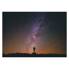 북유럽 스타일 인테리어액자 (A1), art no. 0056