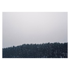아티굿띵 북유럽 스타일 인테리어액자, art no. 0118