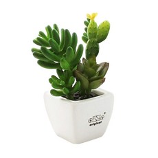 리버그린 desert 도자기 화분, 화이트, 1개