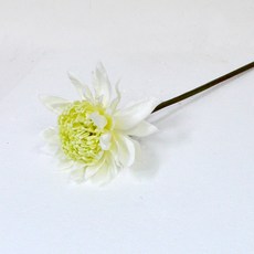 Flower Mart 人造大帝王花枝 54cm 288-2184, CREAM, 1個