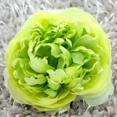 毛茛屬, 1 個, 綠色