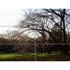 앙상한 가지만 남은 오래된 나무 Scenery-002, 6장