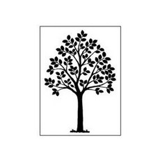 Deco Sarang 圖形貼紙 Amos, A