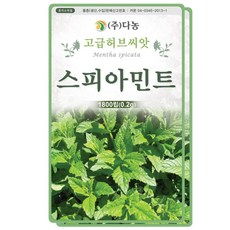 다농 스피아민트씨앗 0.2g, 씨앗