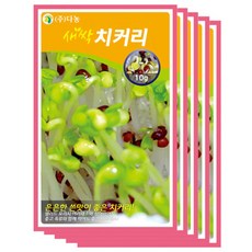 다농 새싹치커리씨앗