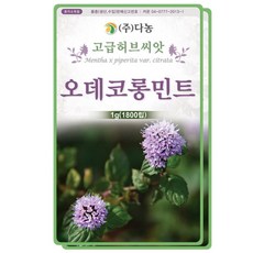다농 오데코롱민트씨앗 1g