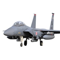 아카데미과학 미공군 F-15E 시모어 존슨, 12295, 1개