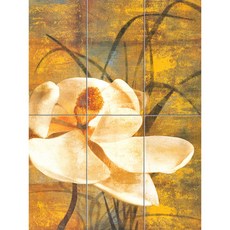 抽象-151 玉蘭花的美麗-II 6個, 混合色