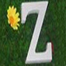 아리코 나무장식 Z3입, 화이트, 1개