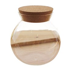 River Green 基本款軟木塞玻璃瓶, 透明, 1個