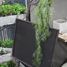 플라워마트 수염 틸란드시아 그린, 1개, 1개