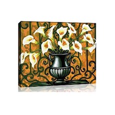 Avade G180風景圖, 盛開的衣領