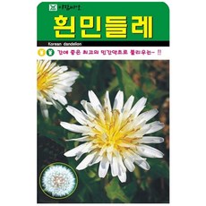 저스틴앤클로이 흰민들레100립 야생화종자, 2팩
