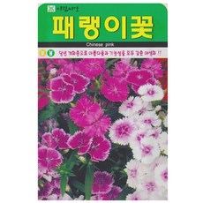 저스틴앤클로이 패랭이꽃1000립 야생화종자, 3팩