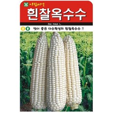 저스틴앤클로이 흰찰옥수수50립 채소열매, 2팩