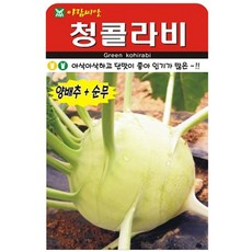 저스틴앤클로이 청콜라비300립 채소뿌리