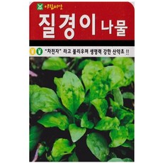 저스틴앤클로이 질경이나물2000립 약초종자, 2팩