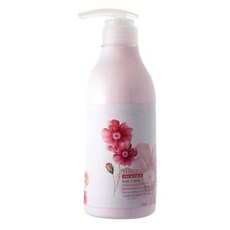 THE HERB STORY 普羅旺斯香氛身體乳, 500ml, 1個