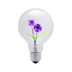 紫色 DSB10-VG, 紫+綠, 1個