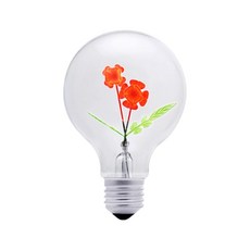 다크스티브 Rose DSB08-OG, 오렌지 + 그린, 1개