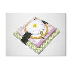 Hallmark 記事本套組 SOM1125, 橘子