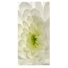 프렌체 고해상도 포인트도어 시트지, YJ-D059