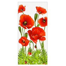 프렌체 고해상도 포인트도어 시트지, HJ-D39