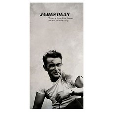 프렌체 고해상도 포인트도어 시트지, YJ-D026