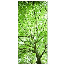 프렌체 고해상도 포인트도어 시트지, 초록