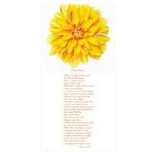 프렌체 고해상도 포인트도어 시트지, YJ-D018