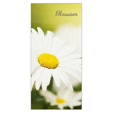 프렌체 고해상도 포인트도어 시트지, MH-D32