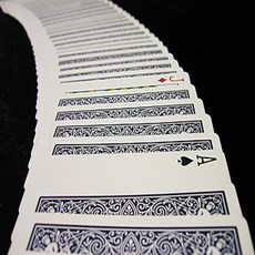 Cheek to Cheek 自行車牌, 1個, 15歲以上