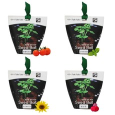 틔움세상 씨드볼 방울토마토+스위트바질+미니해바라기+봉선화, 4입