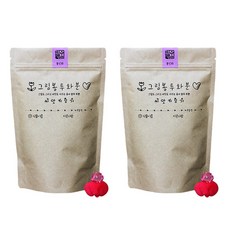 틔움세상 그림봉투 화분세트 봉선화 2입, 1개