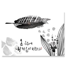 일러스트 캘리그라피 엽서 10매, 마음이 비친다