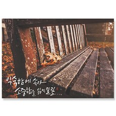캘리그라피 엽서 10매, 익숙함
