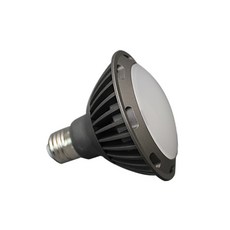 MERITZ PAR30 15W擴散型LED燈, 黃光色